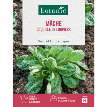 Visuel 1 du produit Graines de mâche coquille de Louviers botanic® - graines à semer