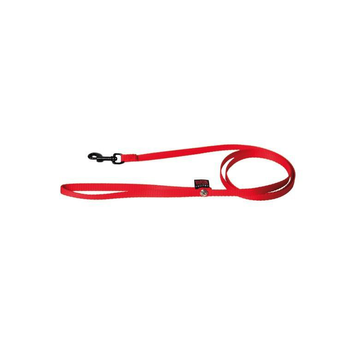 Visuel 1 du produit Laisse chien nylon 10mm / 120cm rouge