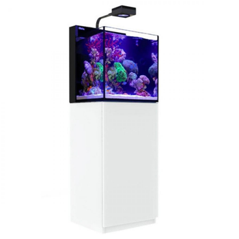 Visuel 1 du produit Aquarium marin Cube G2 Nano + meuble blanc, RED SEA AQUARIUM - modèle Max