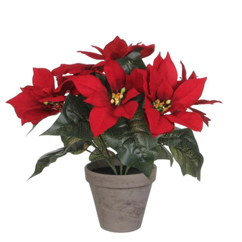 Visuel 1 du produit Poinsettia rouge en pot gris Stan - Ø 33 x H 30 cm