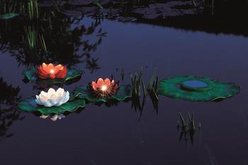 Visuel 1 du produit Kit d’éclairage Pontec PondoSolar Lily LED 3 spots