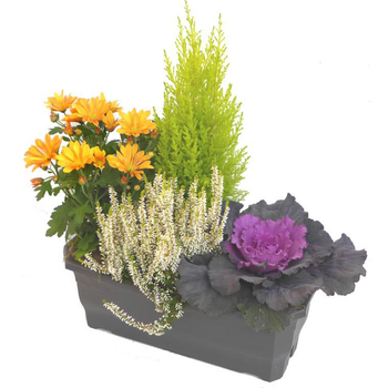Visuel 1 du produit Jardinière d'automne orange - La jardinière de 40 cm