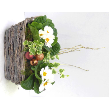 Visuel 1 du produit Panier varié pour extérieur - La jardinière en osier