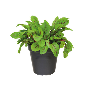 Visuel 1 du produit Pot 13cm Green Basics Elho noir