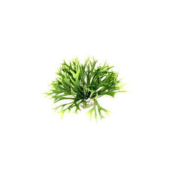 Visuel 1 du produit Massif d’algue vert en plastique petit modèle Ø 20 x 14 cm