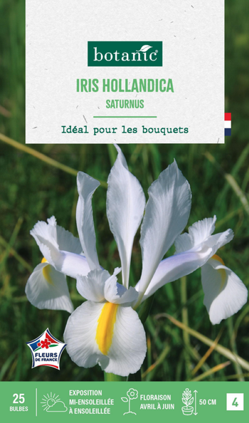 Visuel 1 du produit Iris hollandica saturnus en mélange botanic® - 25 bulbes