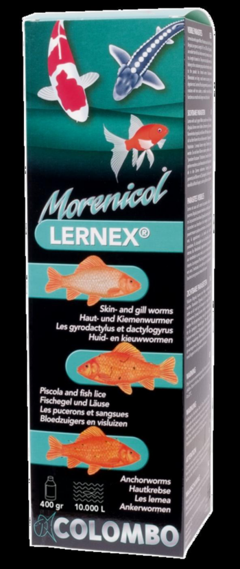 Visuel 1 du produit Traitement poissons de bassin Morenicol Lernex, COLOMBO BASSIN - 400g/10000L