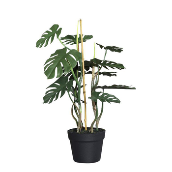 Visuel 1 du produit Plante artificielle Philo en pot coloris vert - 58 cm