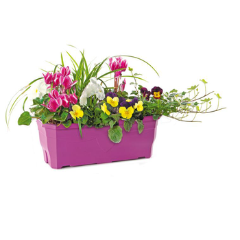 Visuel 1 du produit Jardinière d'automne - La jardinière de 50 cm