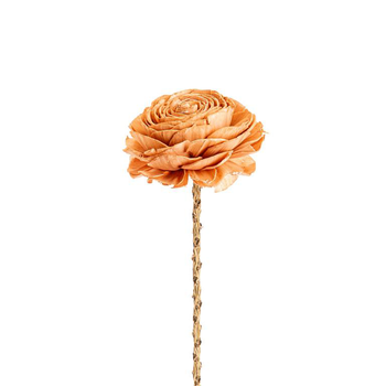 Visuel 1 du produit Fleur en bois de Sola et coco forme Gardénia - Ø 8 x H 51 cm