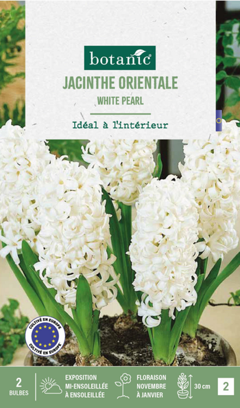 Visuel 1 du produit Jacinthe intérieur white pearl botanic® - 2 bulbes