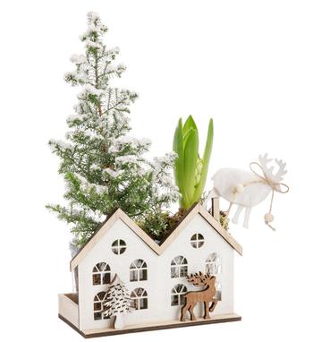 Visuel 1 du produit Composition de 2 Jacinthes blanches. Le pot hauteur 12,7 cm en bois et feutrine.