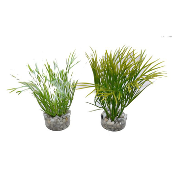 Visuel 1 du produit Plante artificielle pour aquarium Girard green nano - 11 cm