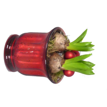 Visuel 1 du produit Jacinthe x2 verrerie rouge - La composition