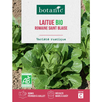 Visuel 1 du produit Graines de laitue romaine Saint Blase bio botanic® - graines à semer