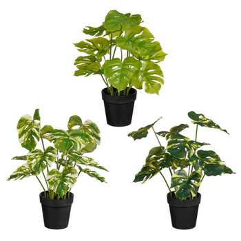 Visuel 1 du produit Monstera artificiel en pot - Ø 28 x H 30 cm