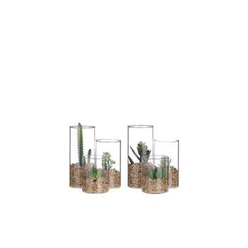 Visuel 1 du produit Succulente verte artificielle en pot transparent H 13 x Ã˜ 11 cm