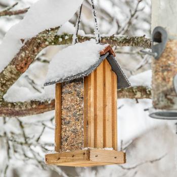 Visuel 2 du produit Mélange de graines pour oiseaux Grain de Vie - 7 kg