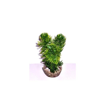 Visuel 1 du produit Mousse verte en plastique petit modèle 13 cm