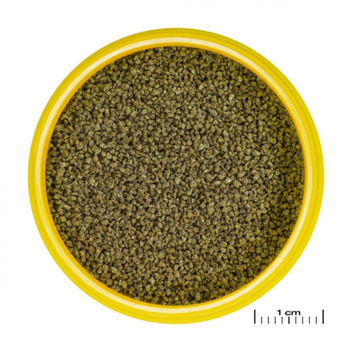 Visuel 1 du produit Nourriture en granulés - JBL ProNovo Danio Grano XS - 16g/20ml