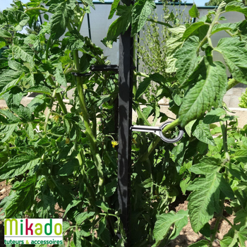Visuel 1 du produit Tuteur à tomate avec 4 attaches coloris gris  - 180 cm