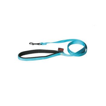 Visuel 1 du produit Laisse chien nylon 16 mm / 120 cm bleu