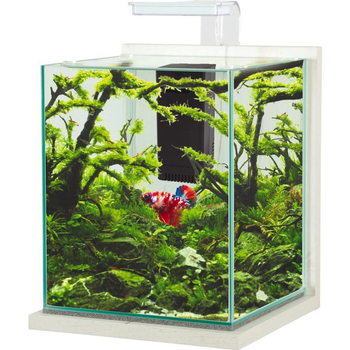 Visuel 1 du produit Kit aquarium Jalaya XL coloris ceruse blanc Zolux - 25 x 25 x 30 cm