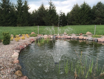 Visuel 1 du produit Kit jet d'eau robuste aqua NOVA BASSIN modèle FNS - pour bassin de jardin