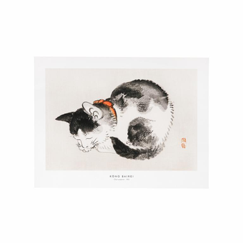 Visuel 1 du produit Affiche chat endormi - 30 x 40 cm
