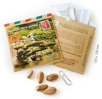 Visuel 1 du produit Graines de Bonsaï Pinus pinea coloris multicolore Vilmorin jardin - 13 x 13 x 4 cm