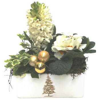 Visuel 1 du produit Jardinière variée - Pot déco sapin