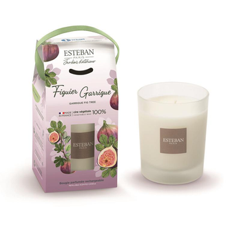 Visuel 1 du produit Bougie initiale parfumée Esteban en verre transparent senteur Figuier garrigue - 180 g