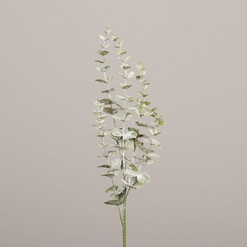 Visuel 1 du produit Branche d’eucalyptus vert - 73 cm