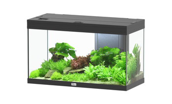 Visuel 1 du produit Aquarium coloris noir Aquatlantis Volga LED 2.0 125 L - 82 x 37 x 50 cm