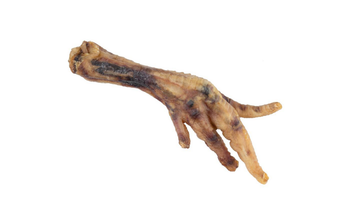 Visuel 1 du produit Patte de poulet pour chien en vrac Bubimex - prix à la pièce