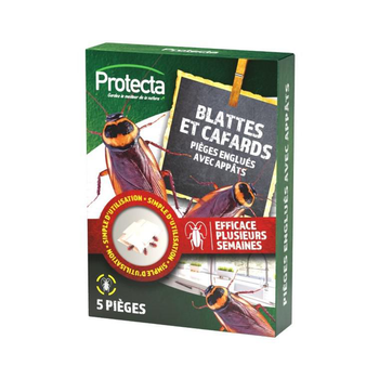 Visuel 1 du produit Pièges englués avec appât contre blattes et cafards Protecta - Les 5 pièges