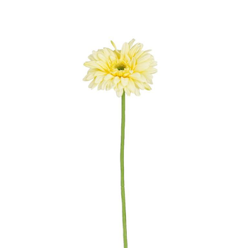Visuel 1 du produit Tige de gerbera artificiel en plastique recyclé jaune - 60 cm
