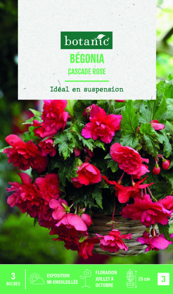 Visuel 1 du produit Bulbes de fleurs Bégonia Cascade rose botanic® - 3 bulbes