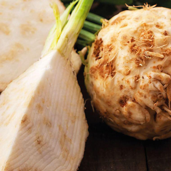 Visuel 1 du produit Céléri Rave Prinz Bio. La barquette de 3 plants