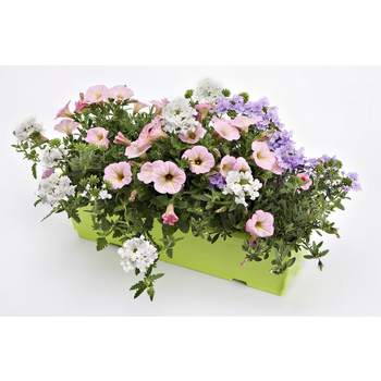 Visuel 1 du produit Jardinière d'extérieur - La jardinière de 40 cm