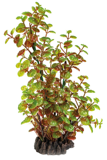 Visuel 1 du produit Plante artificielle pour aquarium ou terrarium coloris vert Rotala SuperFish Art Plant  M - 25 cm