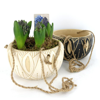 Visuel 1 du produit Suspension jacinthe x5 éthnique - La composition