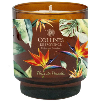 Visuel 1 du produit Bougie parfumée senteur Fleur de Paradis Collines de Provence – 220 g