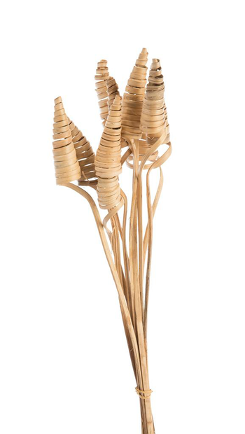 Visuel 1 du produit Lot de 10 cônes de canne naturel artificielles coloris beige - 45 à 55 cm