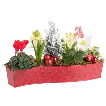 Visuel 1 du produit Composition de Noël fleurs en chemin de table - 40 cm