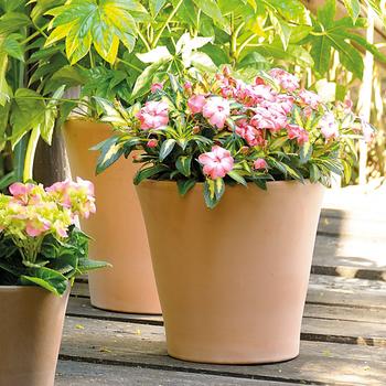 Visuel 1 du produit Pot Cono Antica en terre cuite claire – D31xH28,4