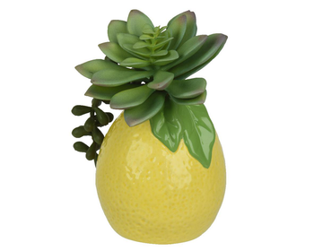Visuel 1 du produit Succulente et pot citron en dolomite jaune - 9 x 8 x 14 cm