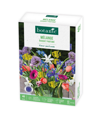 Visuel 1 du produit Mélange bouquet parfumé botanic® - 40 bulbes
