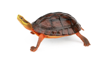 Visuel 1 du produit Décoration pour terrarium coloris marron en résine figurine tortue Terratlantis - 16,9 x 11,5 x 7 cm