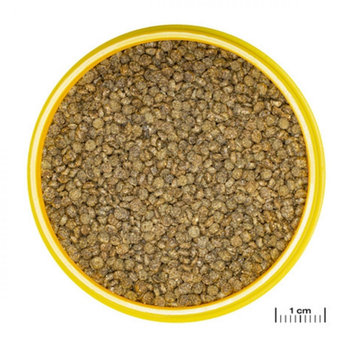 Visuel 1 du produit Nourriture pour gourami, granulés ProNovo, JBL - 115g, 250ml